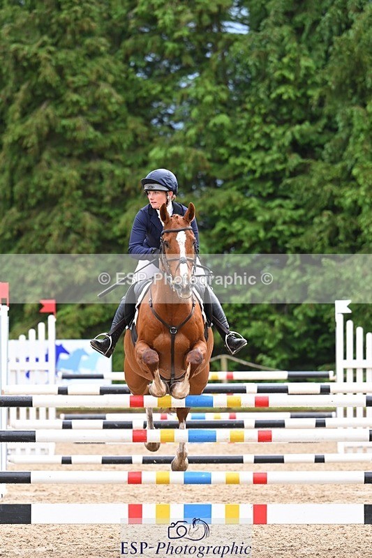 240526-140639-24422 - 251-MILESTONE_GOLD-Gaby_Bull