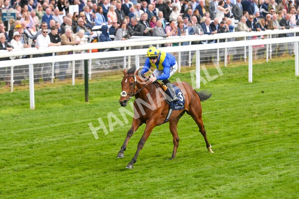yr12052022r4-37 - Race 4 3.35pm Al Basti Equiworld Dubai Dante Stakes