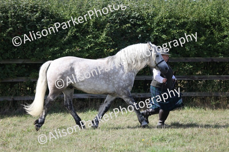 20250831-1601 - Class 22 - Mountain and Moorland Inhand