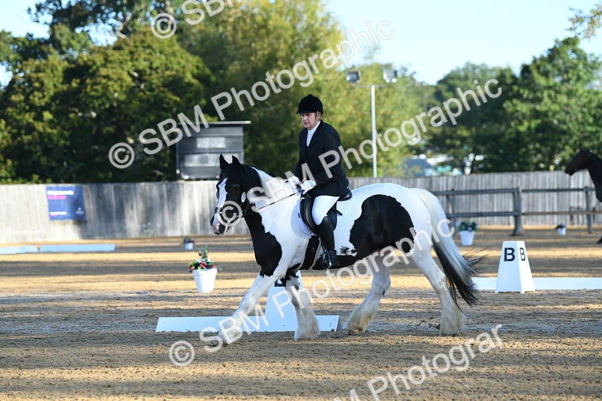 SBM_14437 - D4 - Small Tour Championship - Intro B