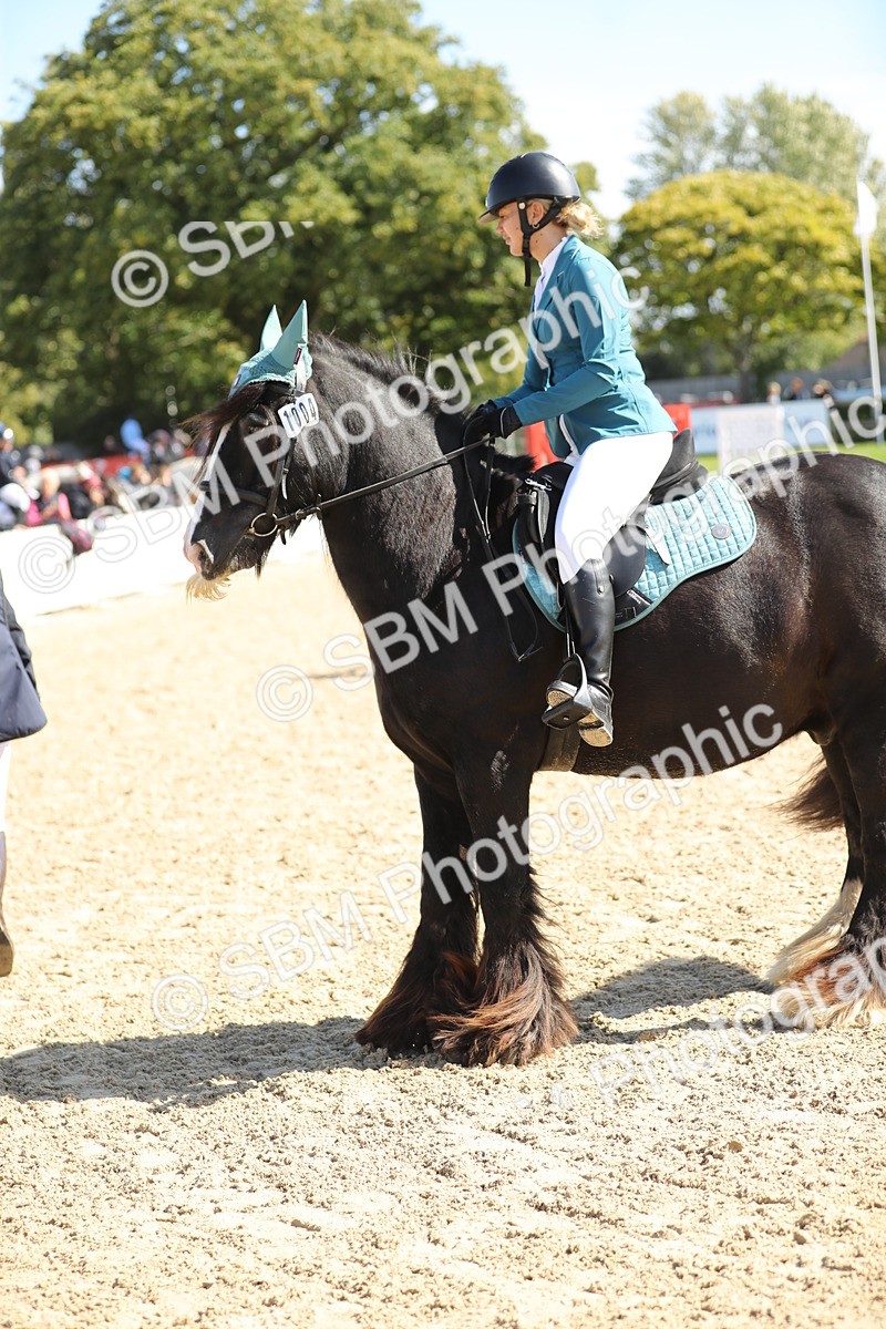 SBM_04764 - J28 - Senior Horse & Pony 60cm Championships