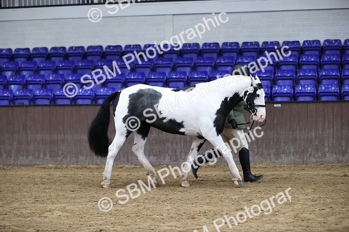 SBM_5632 - Class 40 - RESS In Hand Qualifier
