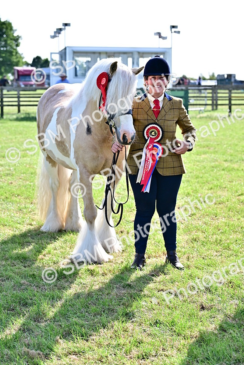 SBM_10161 - Class 63-65 - Traditional Gypsy Cobs In Hand & Ridden