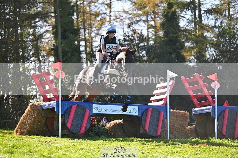 241026-123835-13409 - 444-Tatiana.Wharton-NO.TOMMY.NO