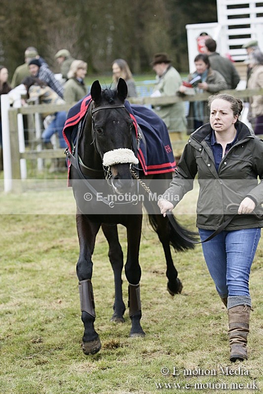 PtP 110318 193 - Hampshire Hunt Point-to-Point Hackwood Park 11/03/18