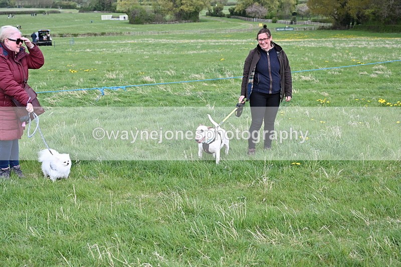 WJ6_8008 - Class 2 Best Pedigree