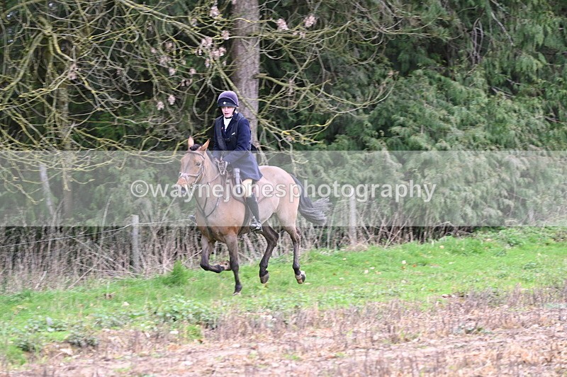 WJ6_9529 - Line Four