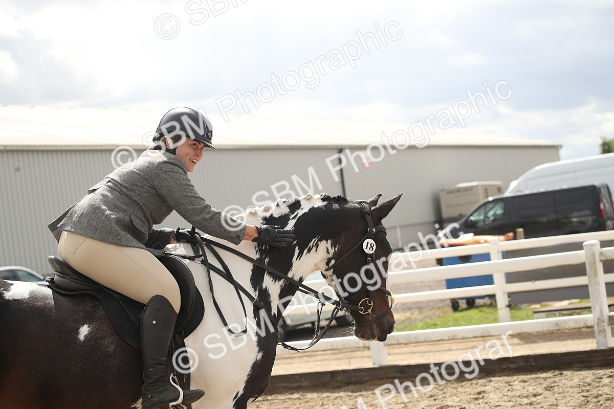 SBM_15238 - Class 506a - Working Veteran - 50cm (15-19)