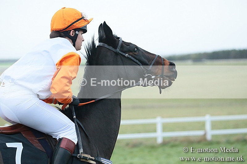 PtP 021218-45 - Hursely Hambledon Hunt Point-to-Point - Larkhill 02/12/18