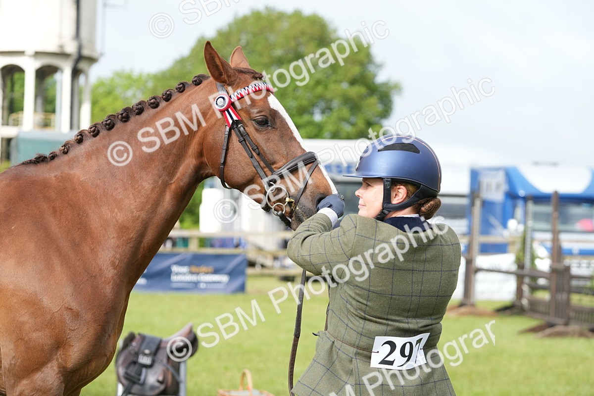 SBM_10622 - Class 97-98 - LIHS BSHA Rising Star Working Show Horse Hunter