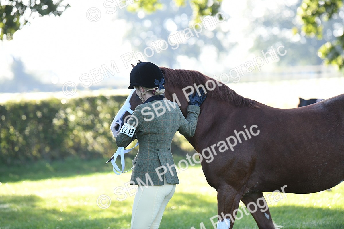 SBM_32805 - S15 - Condition & Turnout In Hand