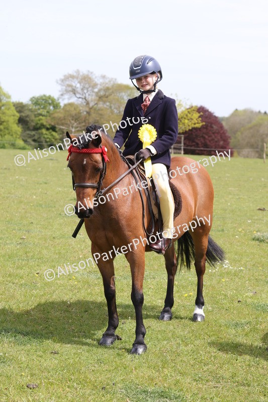 20260426-4016 - Class 33 - Best Pony 14.2hh and Under