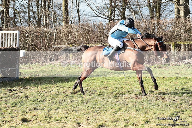PtP 240126 422 - Cambridgeshire & Enfield Chase PtP Horseheath 24/01/26