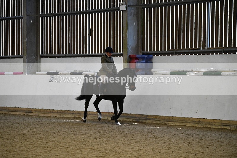 WJ5_5995 - Class 9 Ridden Veteran