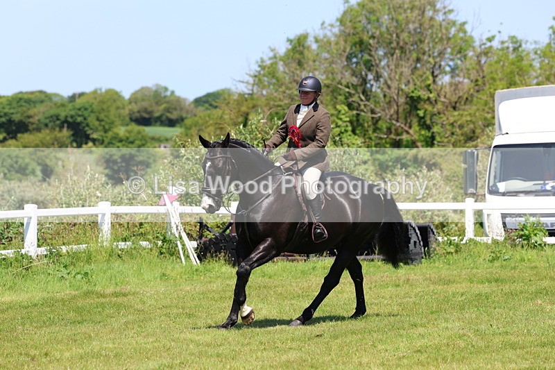 3E7A7436 - Class 30: Novice Working Hunter