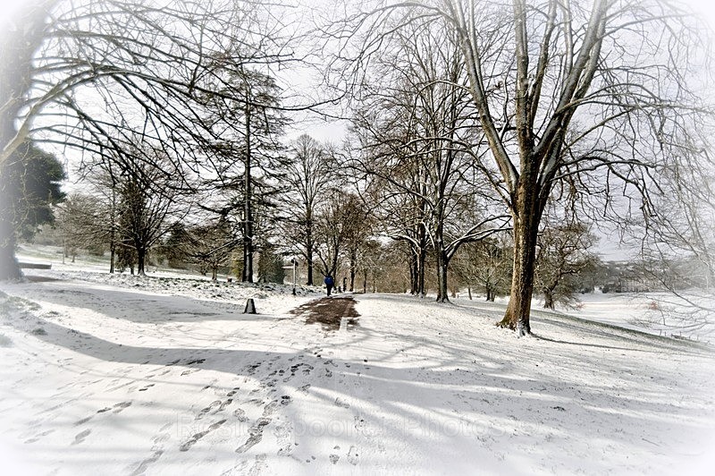 Snowy Day on Cockington Drive - Cockington