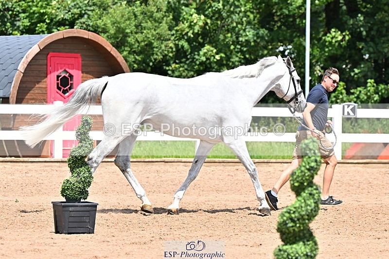 240718A-105318-01813 - Trot Up 1pm to 2pm