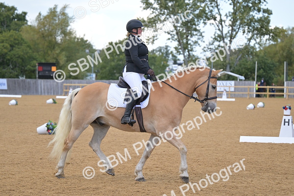 SBM_11148 - D3 - Small Tour Championship Intro 3