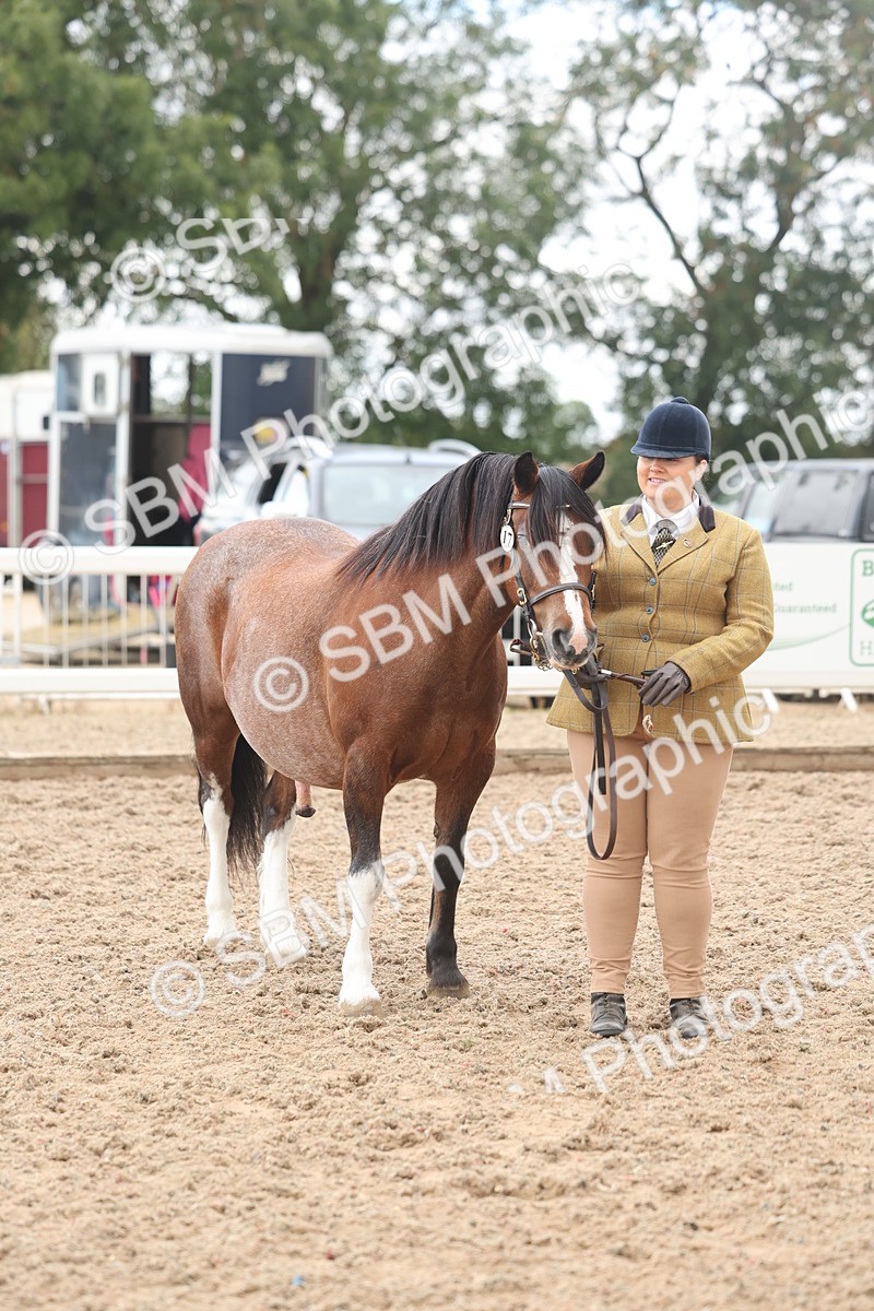 SBM_03233 - Class 16 - IH M&M Wildcard