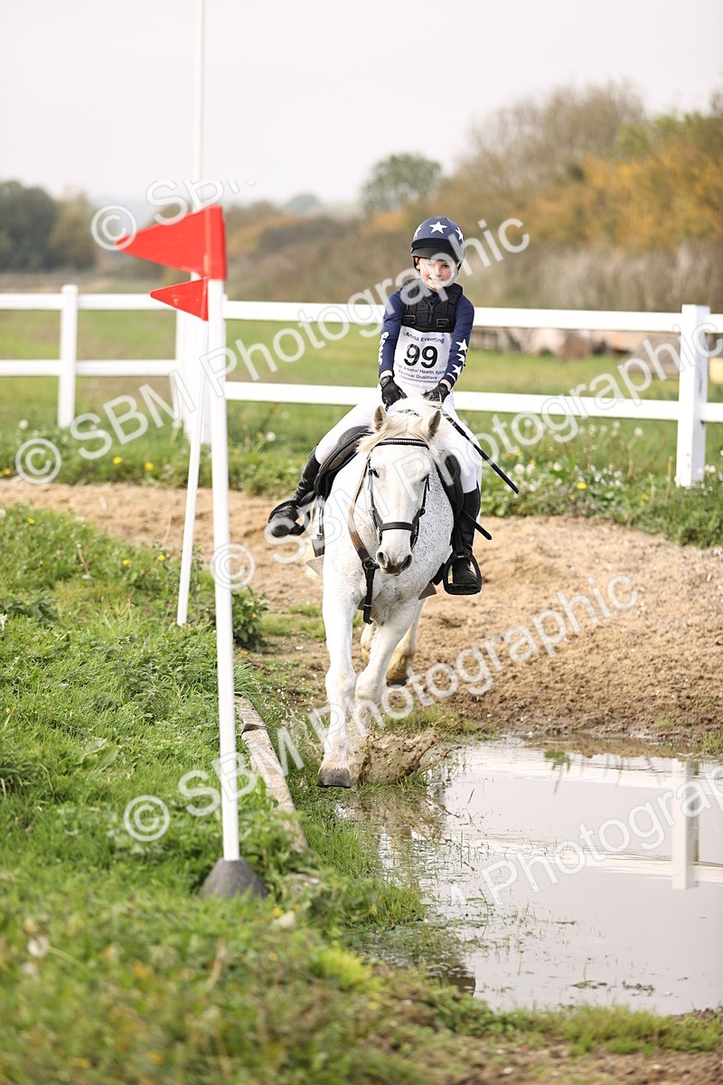 SBM_003120 - Class 2 - 80cm