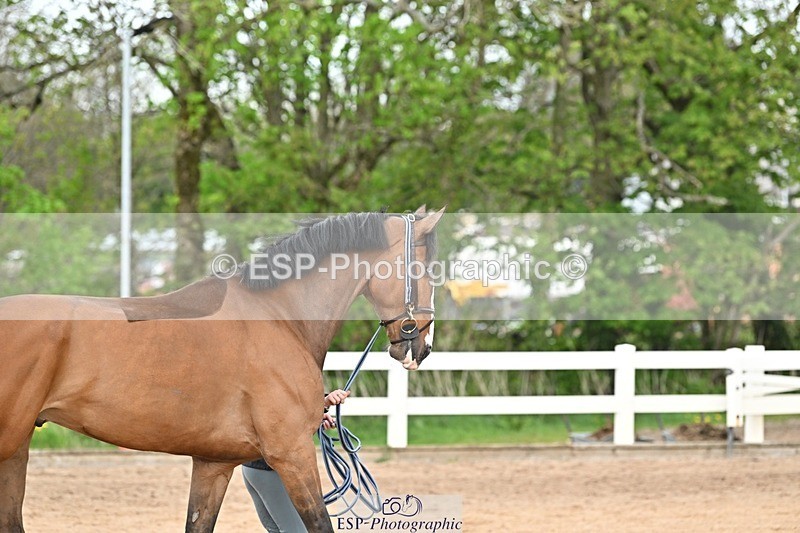 250423-152347-01605 - 3pm to 4pm