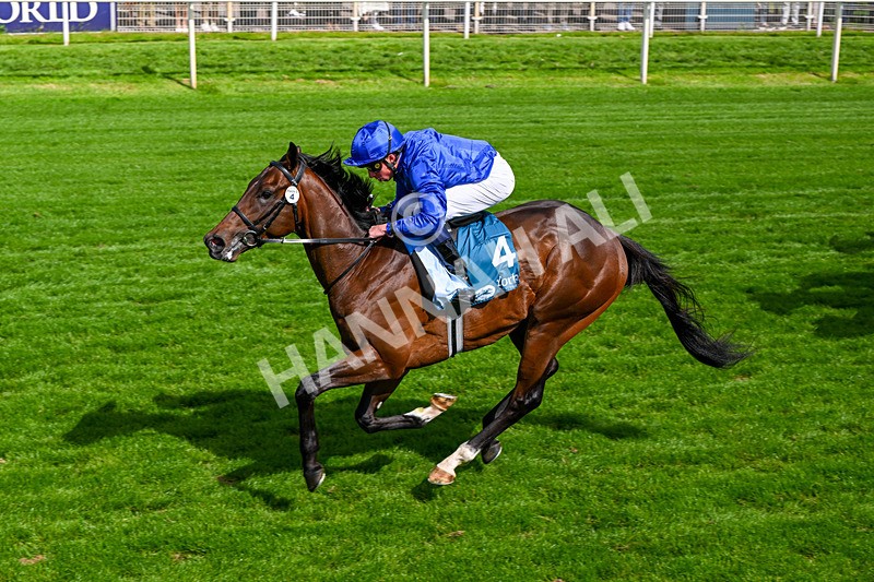 130626-Race 5-Inner City Blues-1801 - Race 5 16.15pm Tomahawk Restaurants Supporting Macmillan EBF Maiden Stakes