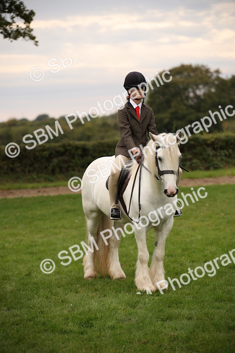 SBM_73470 - S68 - Traditional Cob Ridden