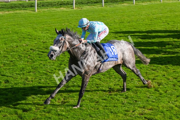 111025-Race 4-Binhareer-8842 - Race 4 Coral Sprint Trophy Handicap at York