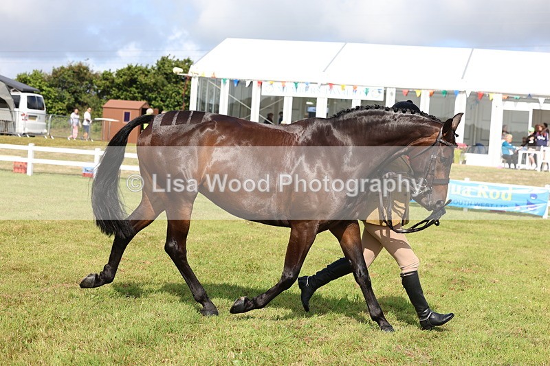 3E7A9164 - Class 3: Rising Star S/L Hunter