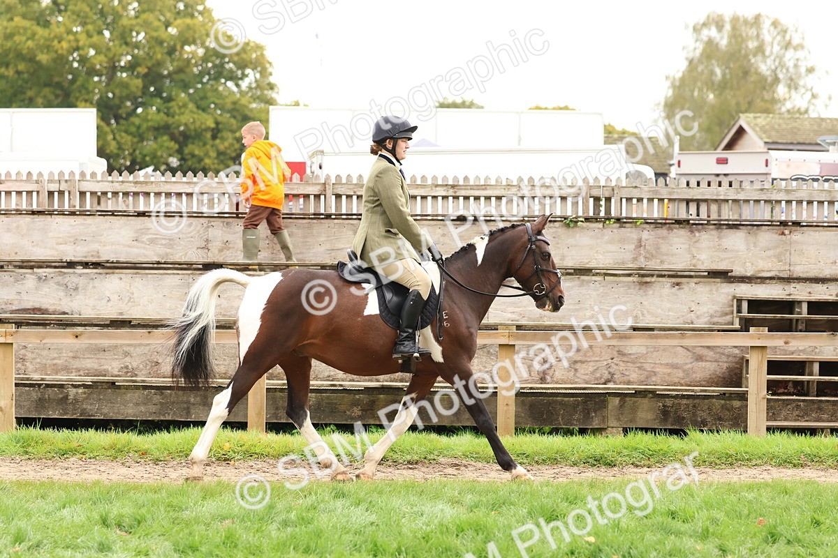 SBM_59884 - S36 - Rehabiliated Rescue Horse & Pony In Hand & Ridden