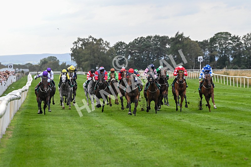 060925-Race 5-Eternal Sunshine-5841 - Race 5