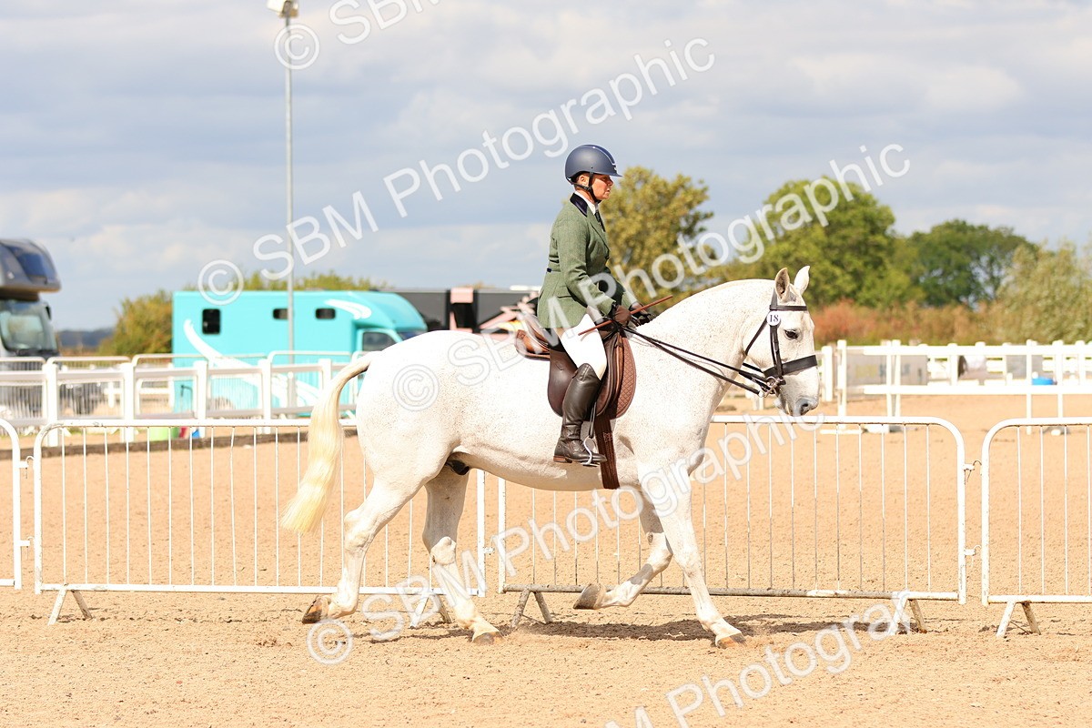 SBM_15484 - Class 214 - Ridden Show Cob