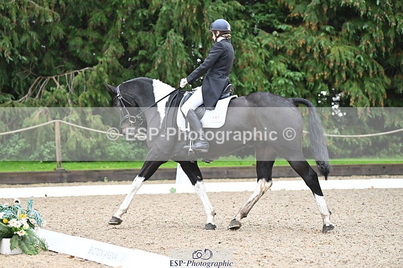 231019-103211-01884 - 101-RICARDO.COLOURS.II-Elizabeth.Wadey-DR