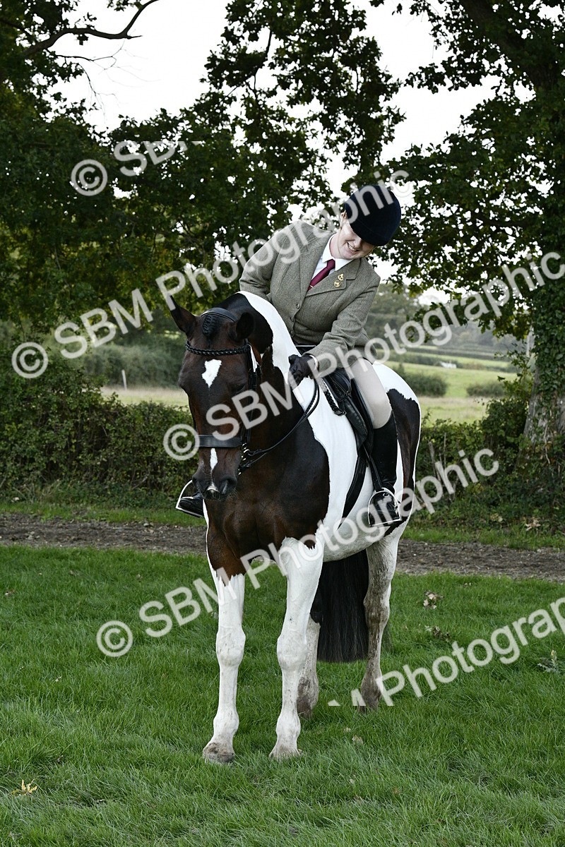 SBM_53607 - S14 - Riding Club Horse