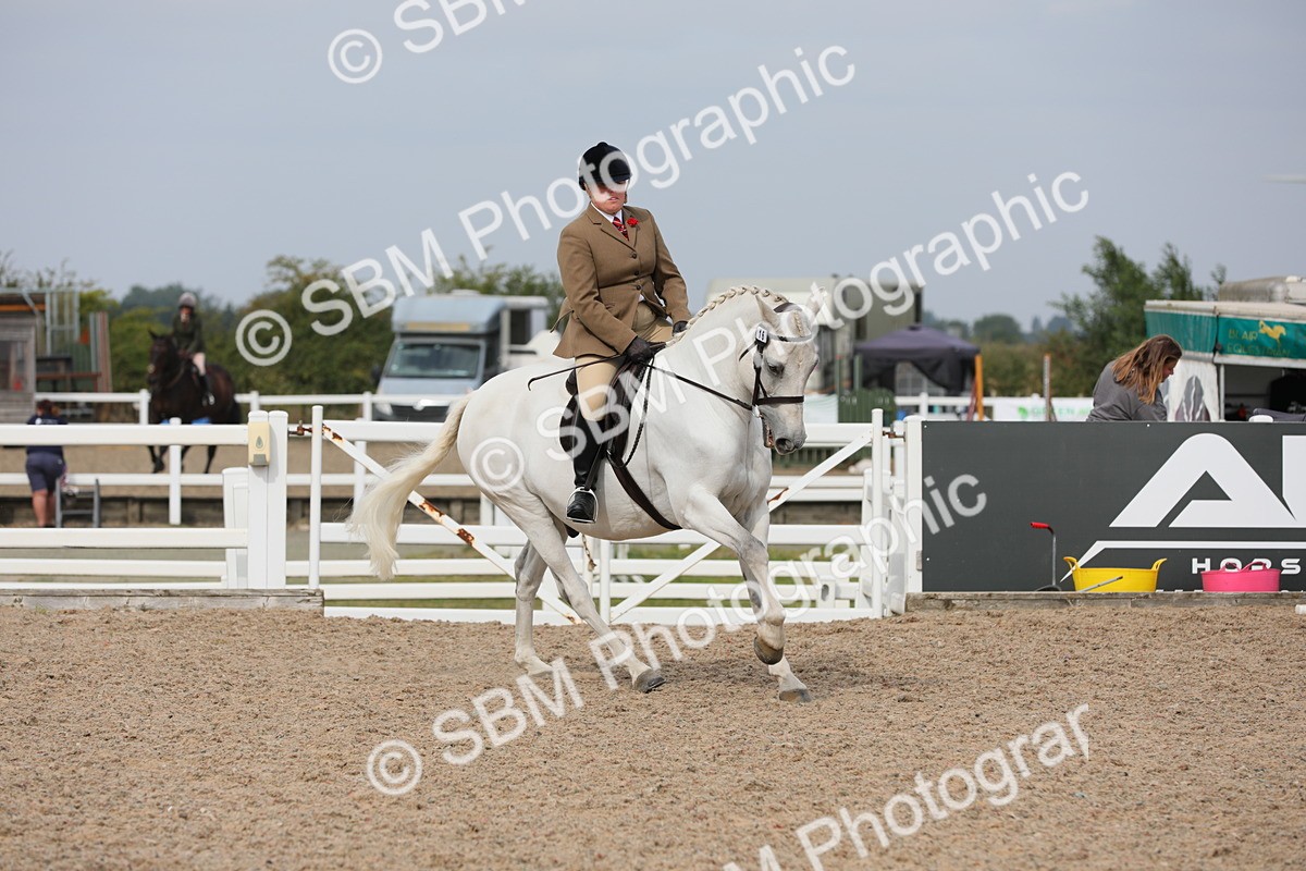 SBM_16998 - Class 314 Family Horse/Pony