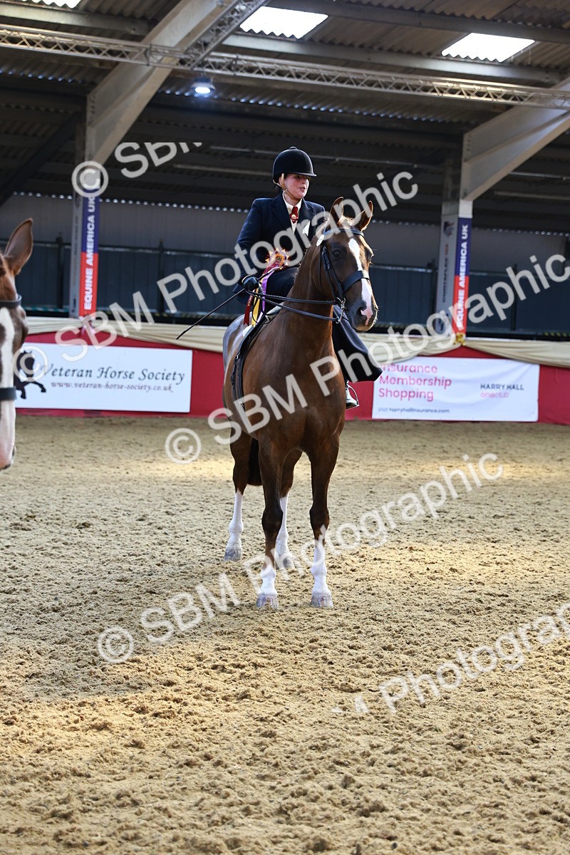 SBM_12805 - HOYS Veteran Qualifier - Ridden Champ