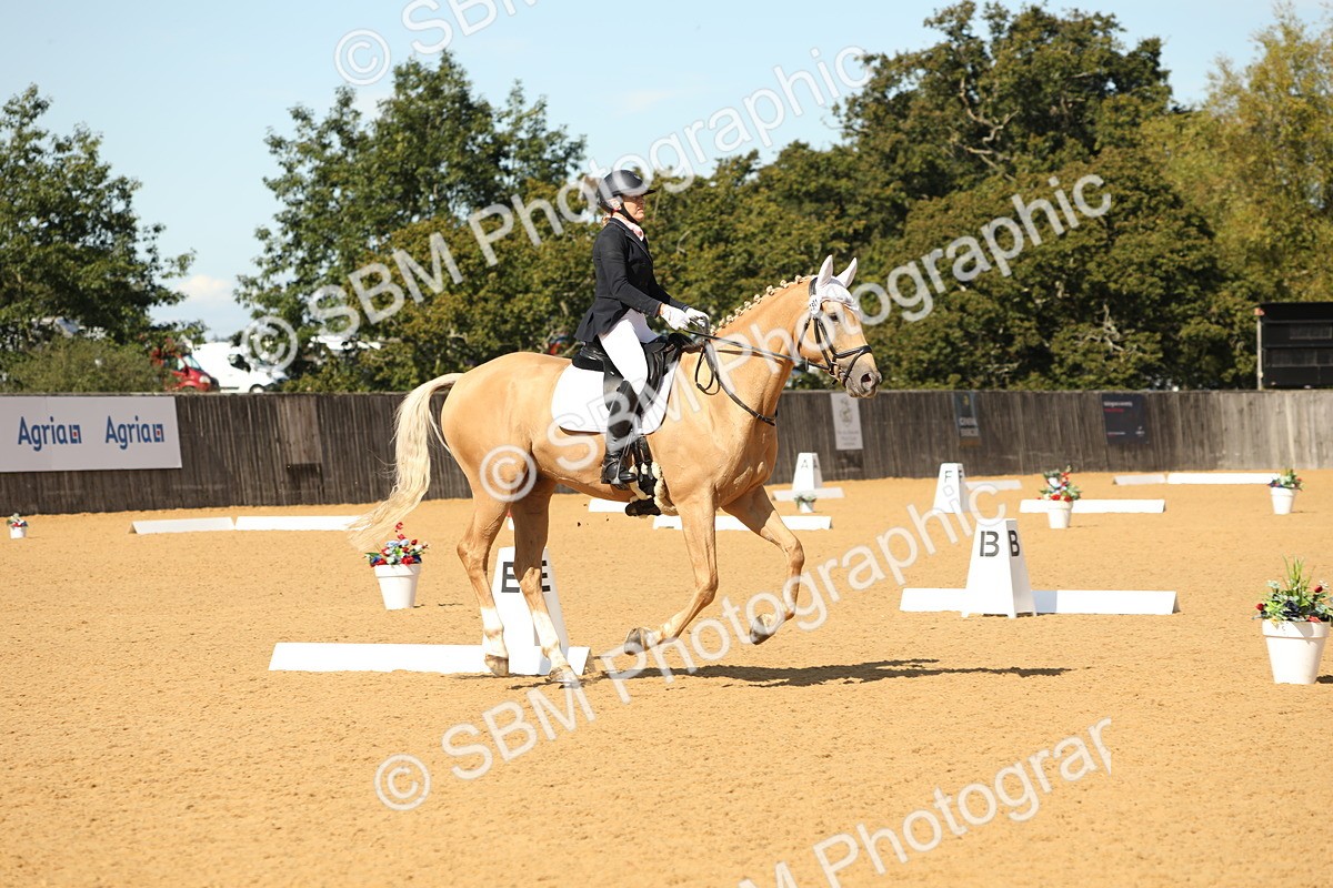SBM_22316 - D17 - Grand Tour Championship - Novice 27