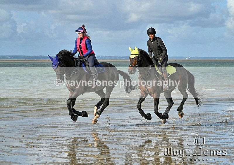 WJ7_4422_1 - Kellie & Churchill ... do Hayling Island 25-08-24