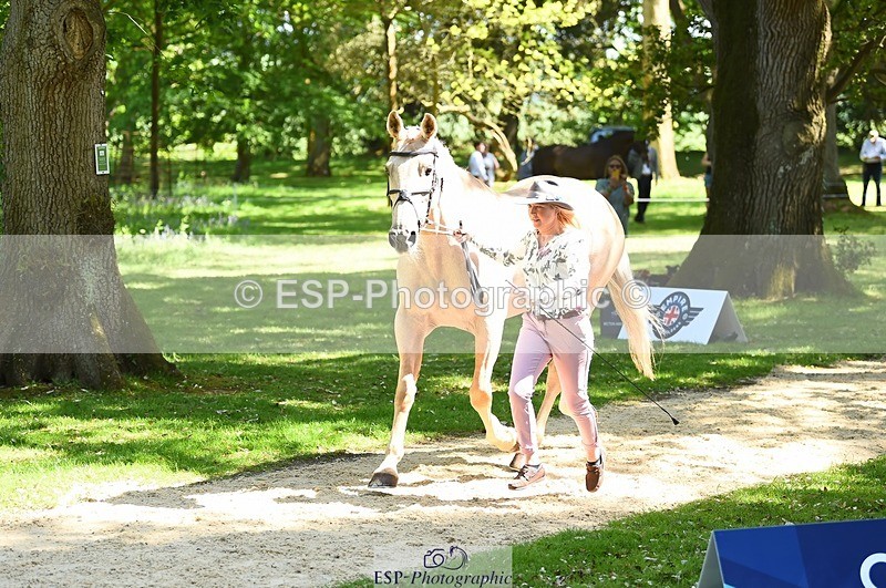 230524-150922-00094 - 356-THE_DUMB_BLONDE-Kat_Raybould-WEDTrotUp+DR