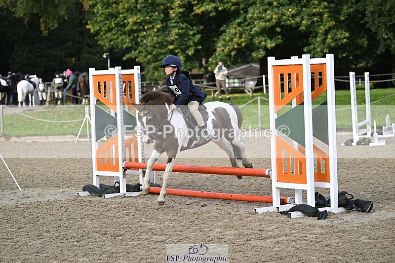 251005A-091501-03012 - Cls 02 GR 50cm