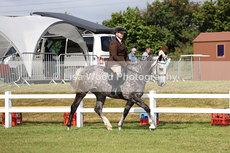 3E7A8828 - Class 3: Rising Star S/L Hunter