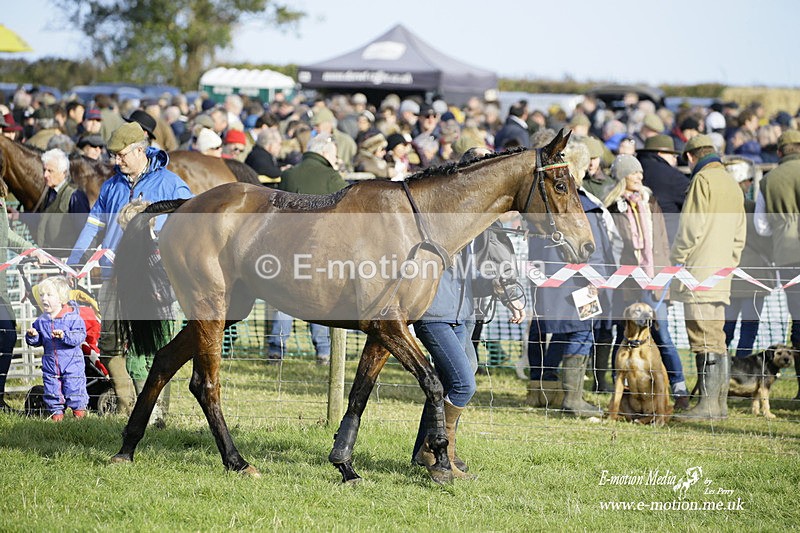 PtP 300122 285 - South Dorset Hunt - Point-to-Point Races 30/01/2022