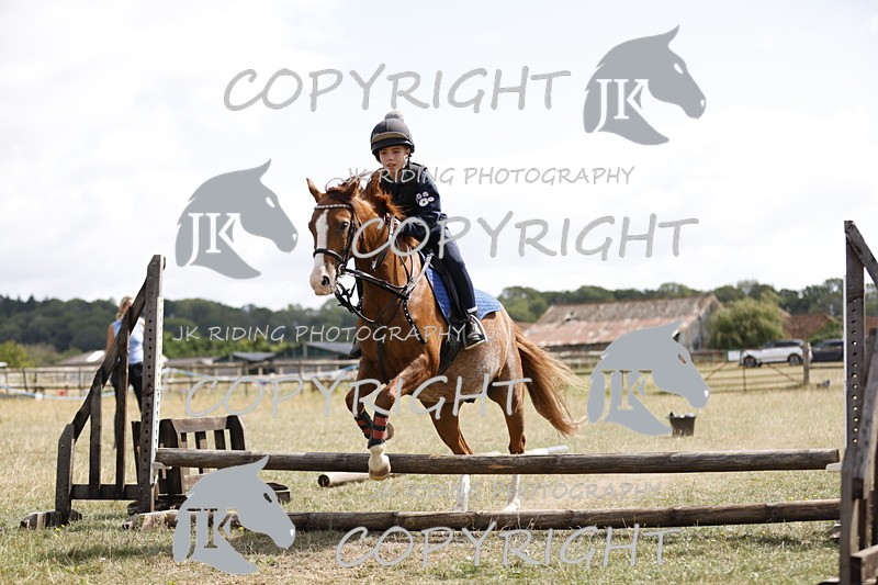 _R6A1153 - Grass Arena