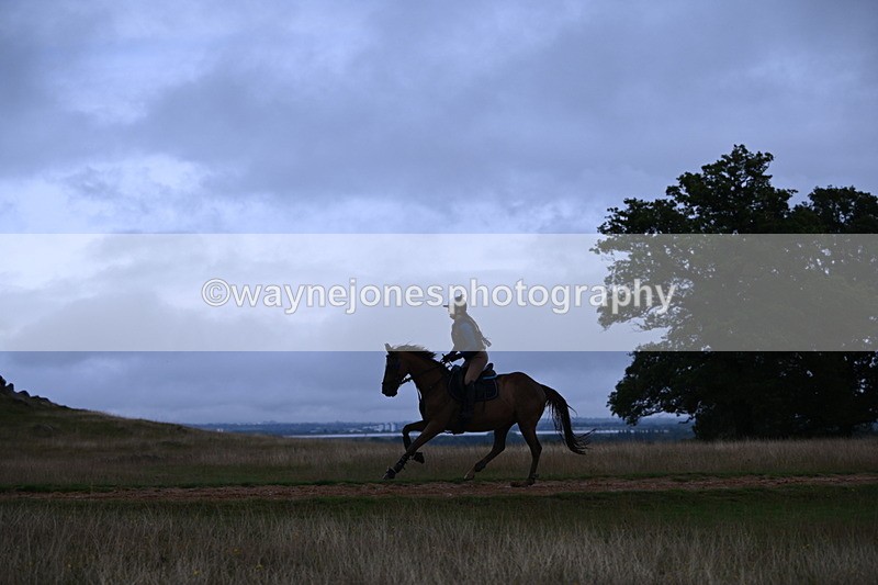 DSC_3825 - Time at Statue 13:51 to 14:55