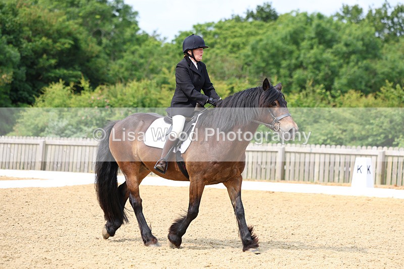 3E7A9061 - Class 2: Intro 1 2024 Section B