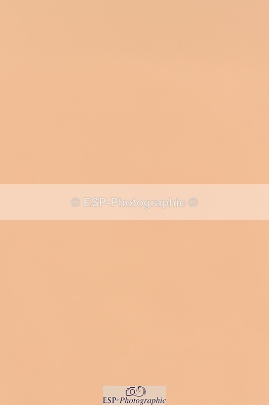 240306A-152204-01757 - Cls 5 Foxhunter and 1.20m Open