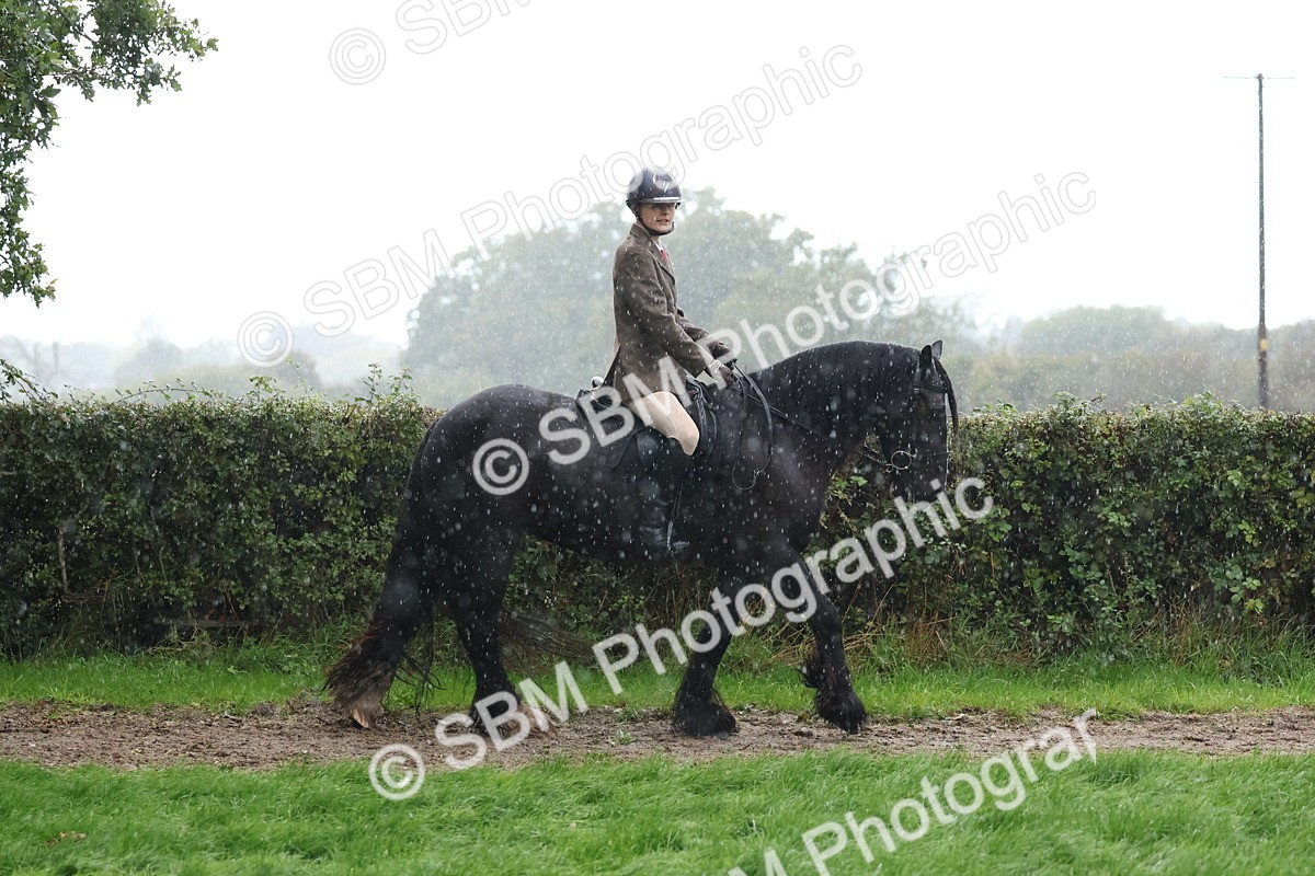 SBM_36785 - S11 - Best Ridden Horse & Pony