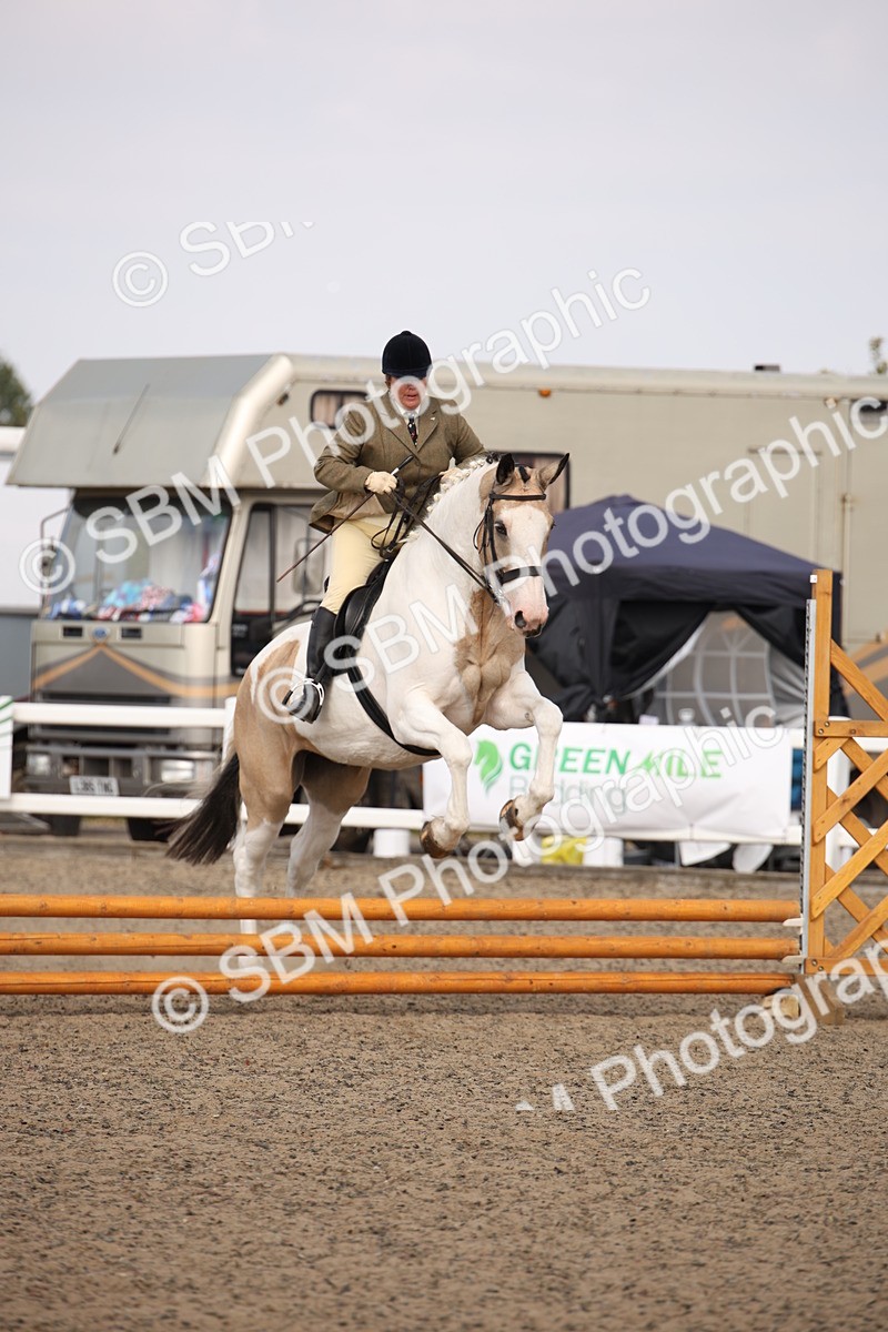 SBM_14201 - Class 407a - Working Veteran 60cm (15-19