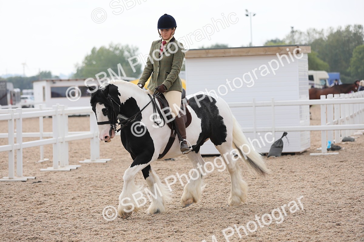 SBM_12799 - Class 307 Ridden Coloured Pony