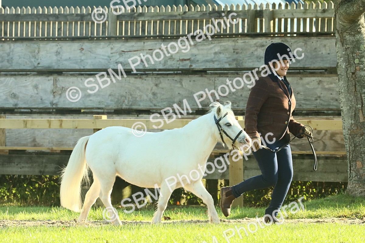 SBM_58551 - S37 - Starters In Hand Showing